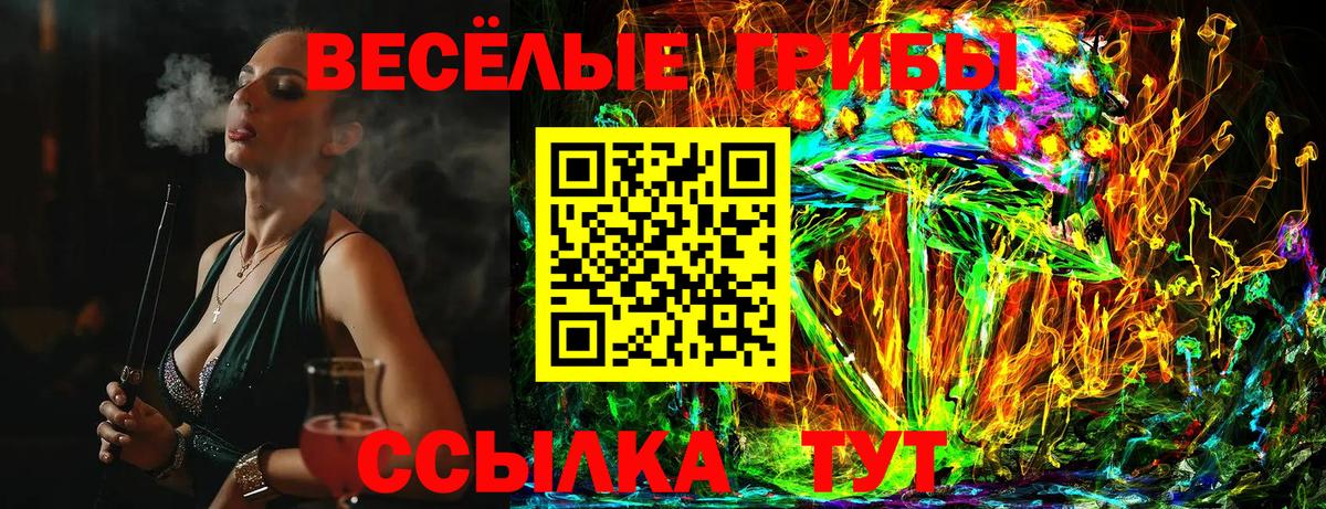 Псилоцибиновые грибы ЛСД Кировск