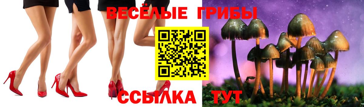 Кировск  Псилоцибиновые грибы GOLDEN TEACHER  Вход с VPN  Псилоцибиновые грибы Cubensis 
